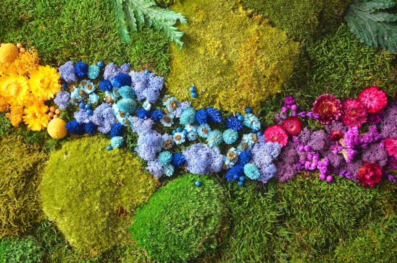 Summer Edition. Led Art. Moss Art Led Modern Wall Art. Real Etsy