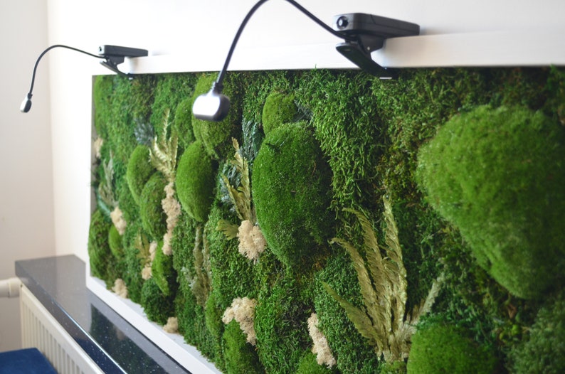 Moss Wall Art Wall Art Wall Art. Nature Room Decor. Modern Etsy