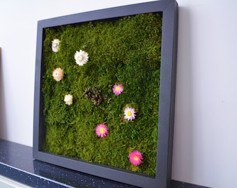 Moss Frames, Moss Wall, 40x40, Moss Wall Art, Real Moss, Nature Room Decor, Chartreuse groen, Art Modern wall