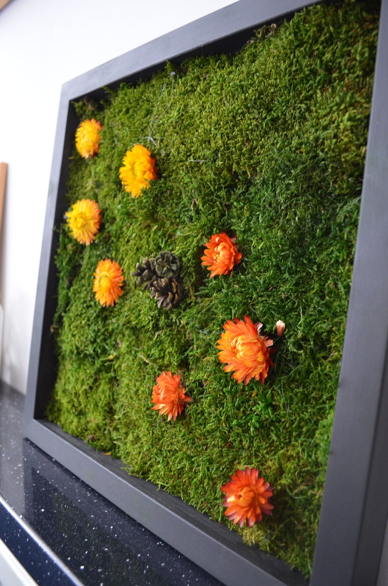 Moss Frames Moss Wall 40x40 Moss Wall Art Real Moss Etsy