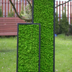 Moss frame, Moss Wall, 120x40, Moss Wall Art, Real Moss, Nature Room Decor, Chartreuse green, Art Modern wall