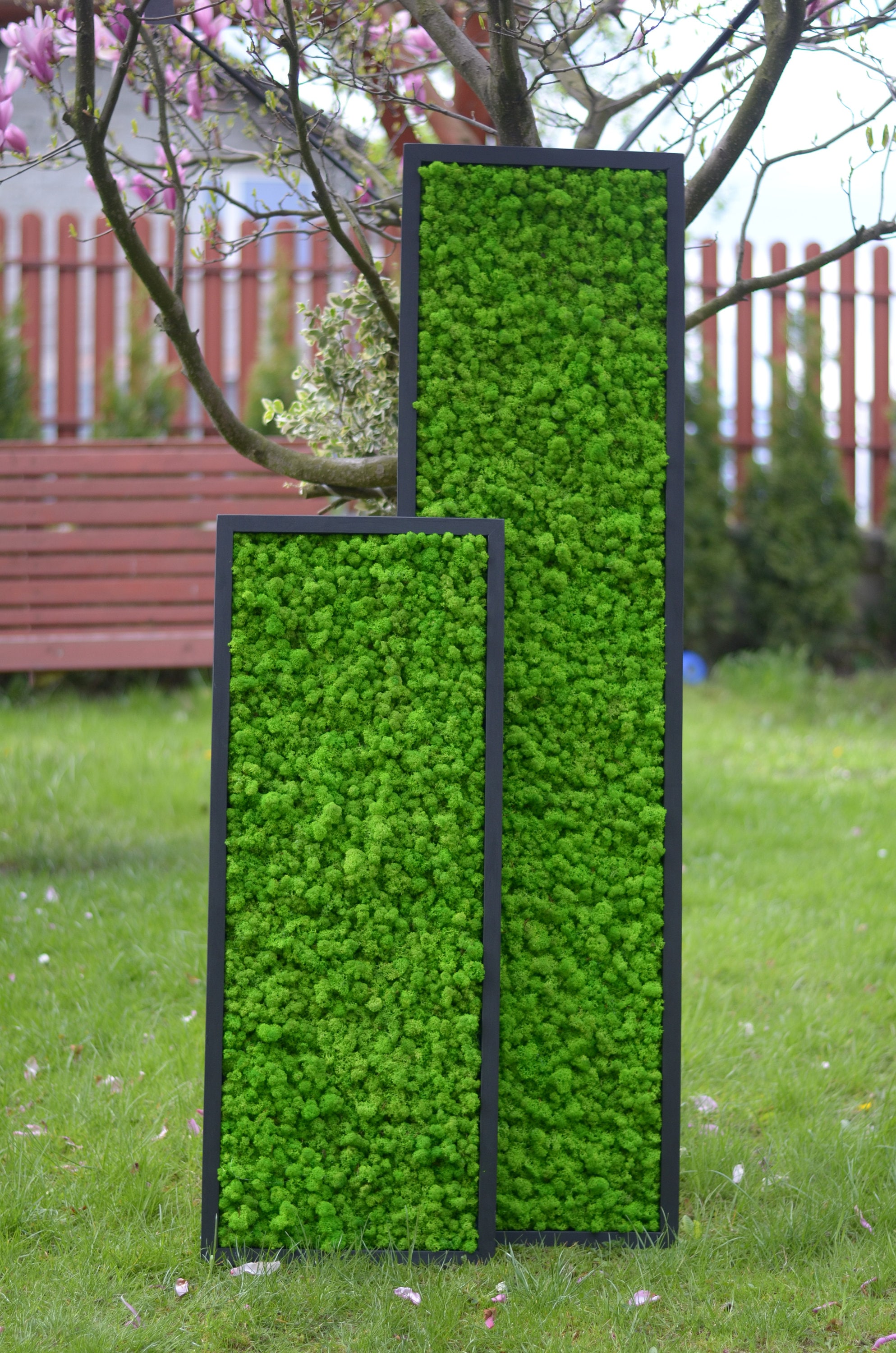 Moss Frame Moss Wall 120x40 Moss Wall Art Real Moss Etsy