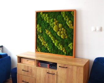 Led Art Wall Art Preserved Moss Lighted Moss Wall Beautiful Preserved Moss Artwork's with LED Lights Live Moss LED
