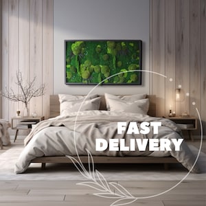Fast Order: TERRA X MOSS ART -Preserved Moss art, (Without lamp)Maintenance-free plant decoration, Moss wall decoration