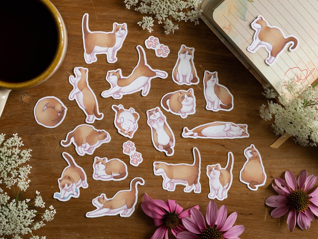 Cat Shape Sticker 20 Cute Cat Stickers, Hand Drawn Stickers, Die Cut Cat Stickers ...