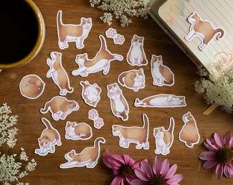 May include: A selection of cat stickers in different poses, depicting brown and white cats. The stickers are displayed on a wooden surface, with a cup of coffee, flowers, and a notebook in the background. The stickers vary in size.