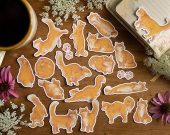 20 adesivos de gatos fofinhos, adesivos de gatos fofos, adesivos desenhados à mão, adesivos de diário, adesivos de gatos laranja, presente para amantes de gatos, adesivos de vinil para gatos