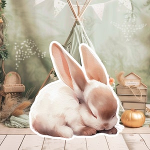BUNNY baby groot decor Knipsel partij rekwisieten, schattig konijn Verjaardag standee, WOODLAND schattige achtergrond, afdrukbare grote rekwisieten voor Feestdecoratie