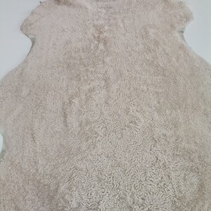 May include: A cream-colored sheepskin rug with a soft, fluffy texture.