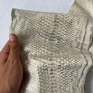 Genuine Python Snakeskin Hide: Silver Touches, Exotic Leather Craft