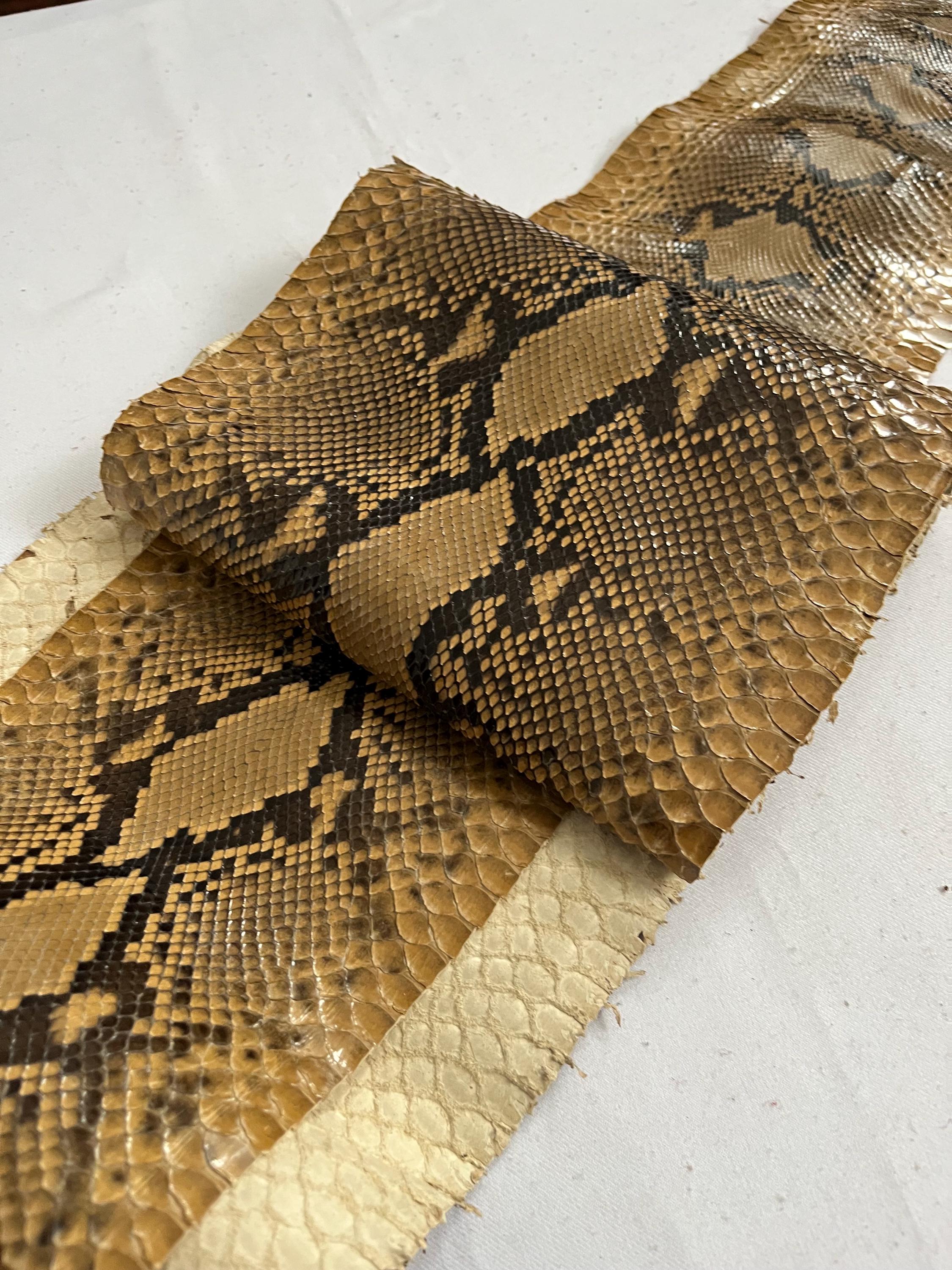 小物 Python Skin Long Sheer Stole scarf snake Real snake leather, genuine python snakeskin long and wide of