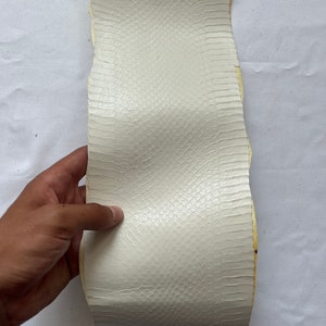 Genuine snake leather hide, thin and glossy color white, thickness 1,2 mm(3 oz)