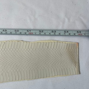 Genuine Snake Leather Hide, Thin and Glossy Color White, Thickness 1,2 ...