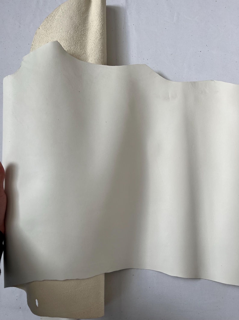 Puede incluir: Una hoja de cuero blanco est&aacute; enrollada y parcialmente desenrollada, revelando la superficie lisa y blanquecina del cuero. El cuero es suave y flexible, con un ligero brillo.
