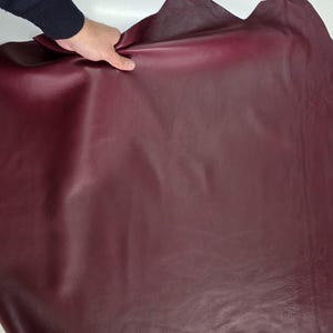 May include: A large sheet of burgundy-coloured leather. The leather has a smooth, slightly shiny surface. The image shows the leather being held up by a person's hand, revealing its texture and colour variations. The leather appears to be supple and of high quality.