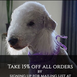 May include: A white Bedlington Terrier dog wearing a purple bandana with white polka dots. The dog is looking to the left. The text on the image reads: "CLICK TO FAVORITE ITEM", "TAKE 15% OFF ALL ORDERS BY SIGNING UP FOR MAILING LIST AT WWW.THEBARKINGBEDLIE.COM"