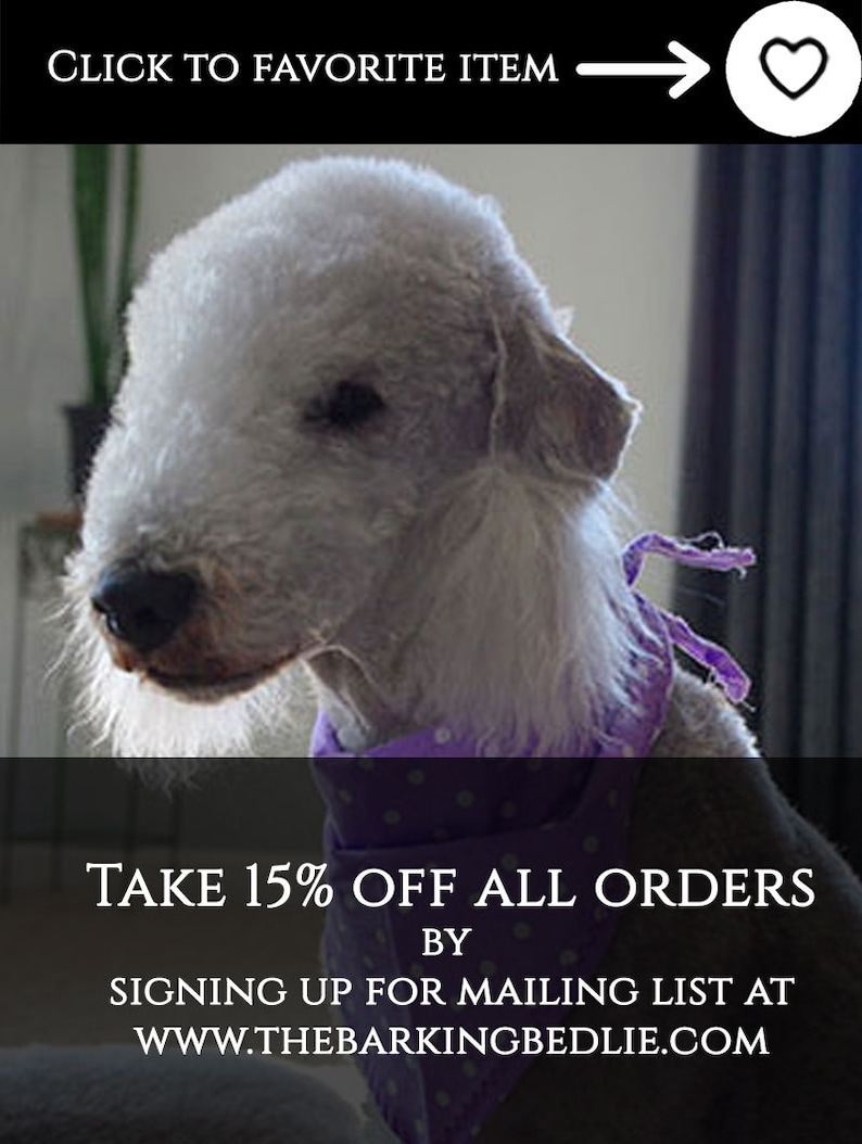 May include: A white Bedlington Terrier dog wearing a purple bandana with white polka dots. The dog is looking to the left. The text on the image reads: "CLICK TO FAVORITE ITEM", "TAKE 15% OFF ALL ORDERS BY SIGNING UP FOR MAILING LIST AT WWW.THEBARKINGBEDLIE.COM"