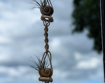 May include: A macrame plant hanger with two air plants in seashell pots. The hanger is made of natural twine and has a knot at the bottom. The hanger is hanging from a ceiling hook and is in front of a blurry background of green grass and a blue sky.