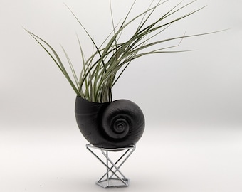 May include: A black seashell planter with a green air plant inside, sitting on a silver metal stand.