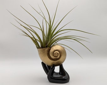 May include: A gold seashell planter with a black hand-shaped base, holding a green air plant.