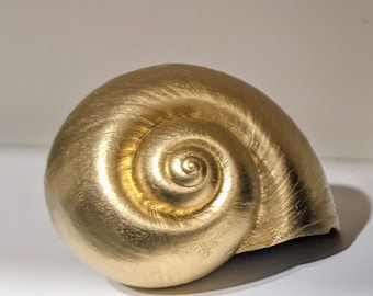 May include: A golden seashell with a spiral pattern. The shell has a smooth, shiny surface.