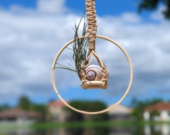 May include: A seashell hangs in a macrame plant hanger made of natural fiber rope. The hanger is suspended from a wooden ring and is attached to a hook. The background is a blurred image of a green lawn and a blue sky with white clouds.