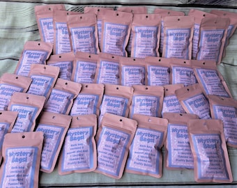 Mystery Pin Bags - 2 Pins, 1 Lanyard