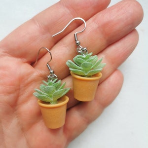 May include: A pair of earrings featuring miniature succulent plants in small orange pots. The earrings have silver-colored fish hook ear wires. The succulent plants are green and have a textured appearance.