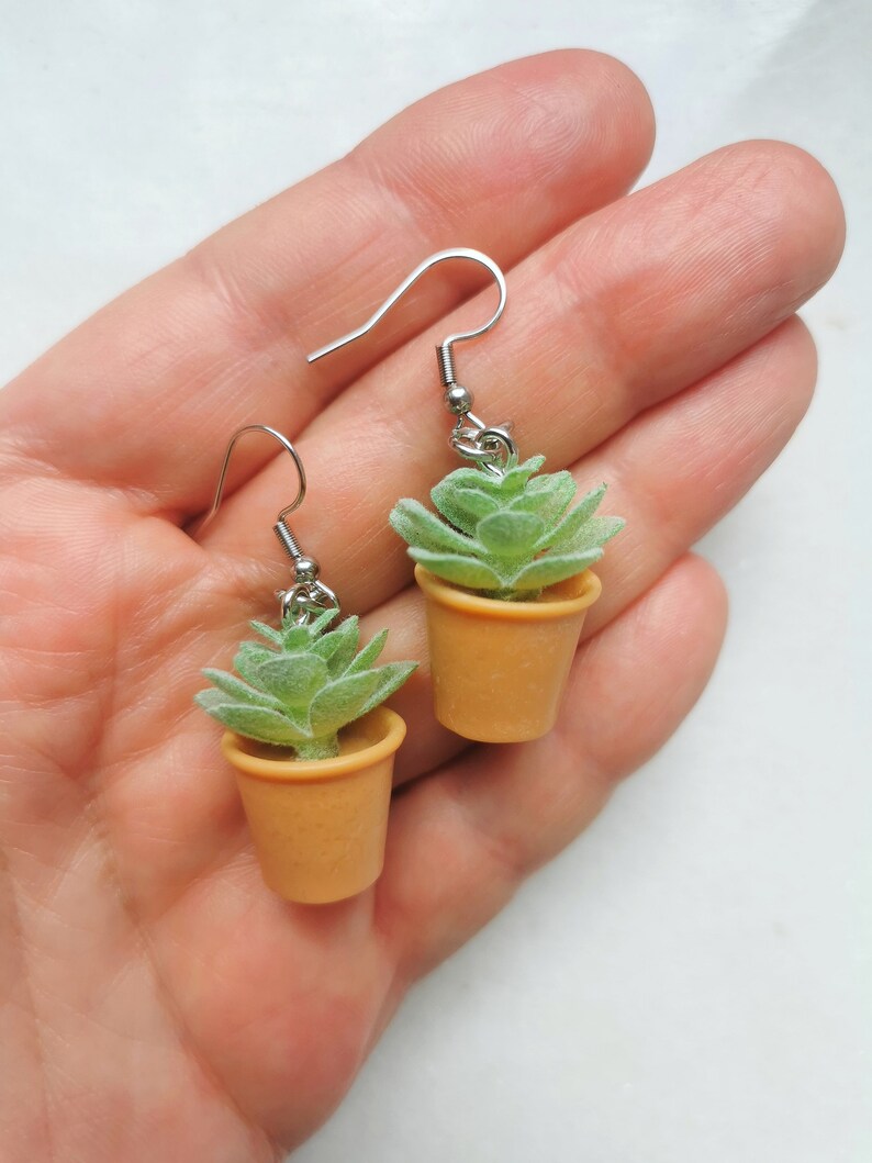 May include: A pair of earrings featuring miniature succulent plants in small orange pots. The earrings have silver-colored fish hook ear wires. The succulent plants are green and have a textured appearance.