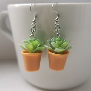 May include: A pair of earrings featuring miniature succulent plants in small orange pots. The plants have green and white leaves, and the pots are suspended from silver-colored hooks and chains. The earrings are set against a white background.