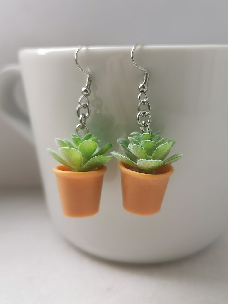 May include: A pair of earrings featuring miniature succulent plants in small orange pots. The plants have green and white leaves, and the pots are suspended from silver-colored hooks and chains. The earrings are set against a white background.