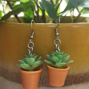 May include: A pair of dangle earrings featuring miniature succulent plants in small orange pots. The earrings have silver-colored hooks and chain links. The succulent plants have green, textured leaves.
