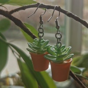 May include: A pair of earrings featuring miniature succulent plants in orange pots. The green succulents have detailed leaves, and the earrings hang from silver-colored hooks and chains. The background is blurred, with a focus on the earrings.