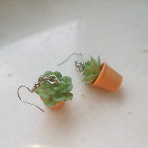 May include: A pair of earrings featuring miniature green succulent plants in small orange pots. The earrings have silver-colored hooks and chain links. The succulent plants have a textured appearance.