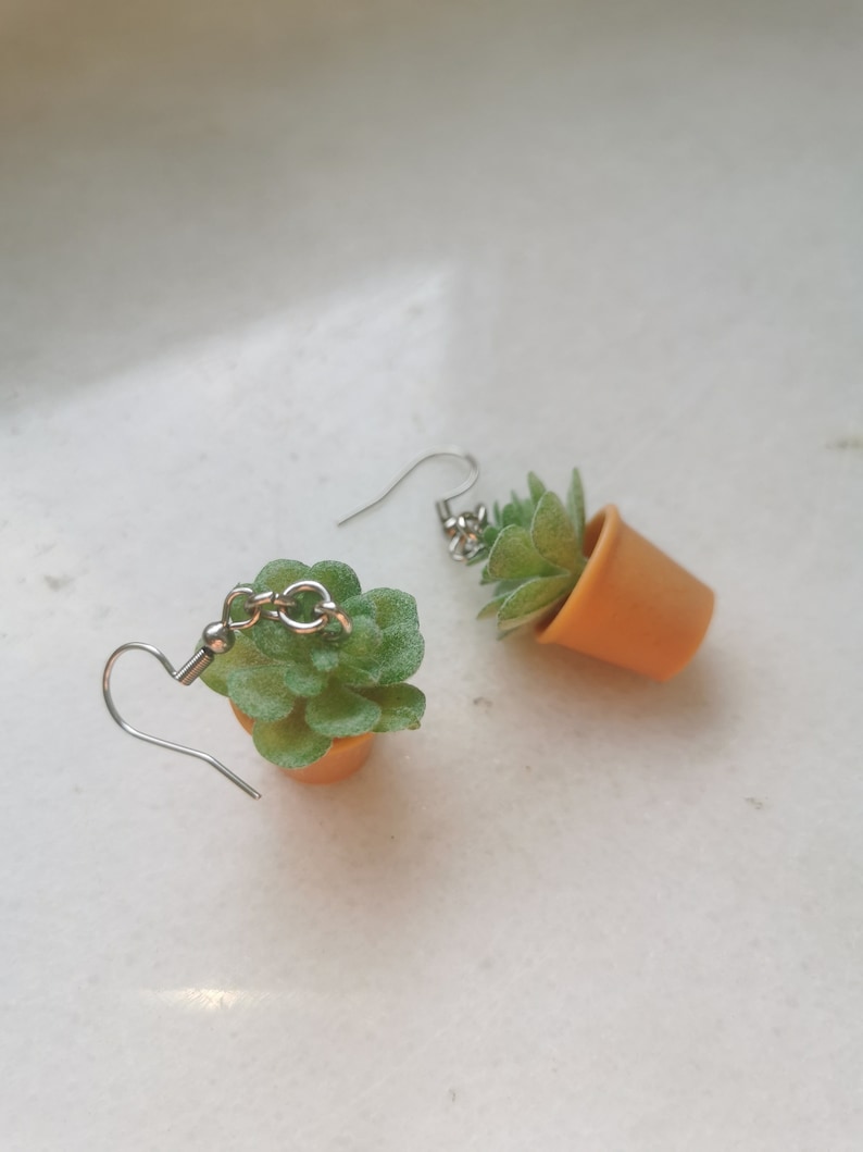 May include: A pair of earrings featuring miniature green succulent plants in small orange pots. The earrings have silver-colored hooks and chain links. The succulent plants have a textured appearance.