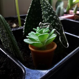 May include: A single earring featuring a miniature green succulent plant in a small brown pot. The earring has a silver-colored hook. The background includes other potted plants in a dark container.