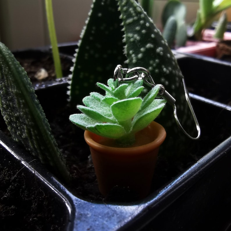 May include: A single earring featuring a miniature green succulent plant in a small brown pot. The earring has a silver-colored hook. The background includes other potted plants in a dark container.