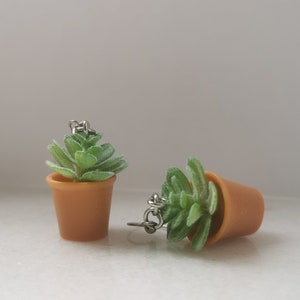 May include: A pair of earrings featuring miniature potted succulents. Each earring has a small, light green succulent plant in a brown pot. The earrings are connected with silver-colored metal hooks.