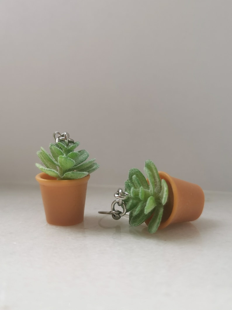 May include: A pair of earrings featuring miniature potted succulents. Each earring has a small, light green succulent plant in a brown pot. The earrings are connected with silver-colored metal hooks.
