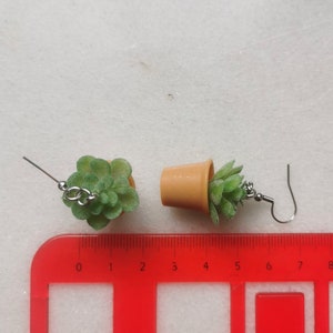 May include: A pair of novelty earrings featuring miniature succulent plants in small, tan-colored pots. The earrings have silver-colored hooks and are displayed on a white surface next to a red ruler.