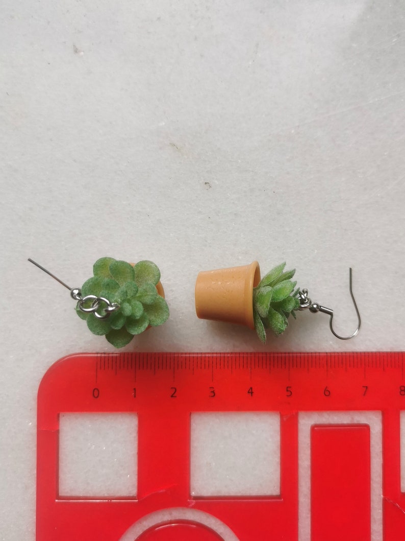 May include: A pair of novelty earrings featuring miniature succulent plants in small, tan-colored pots. The earrings have silver-colored hooks and are displayed on a white surface next to a red ruler.