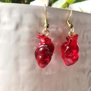 May include: A pair of gold earrings with red glass heart charms. The hearts are detailed and realistic.