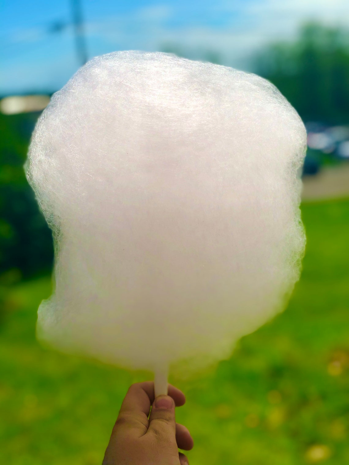 Pink Vanilla Gourmet Cotton Candy Etsy