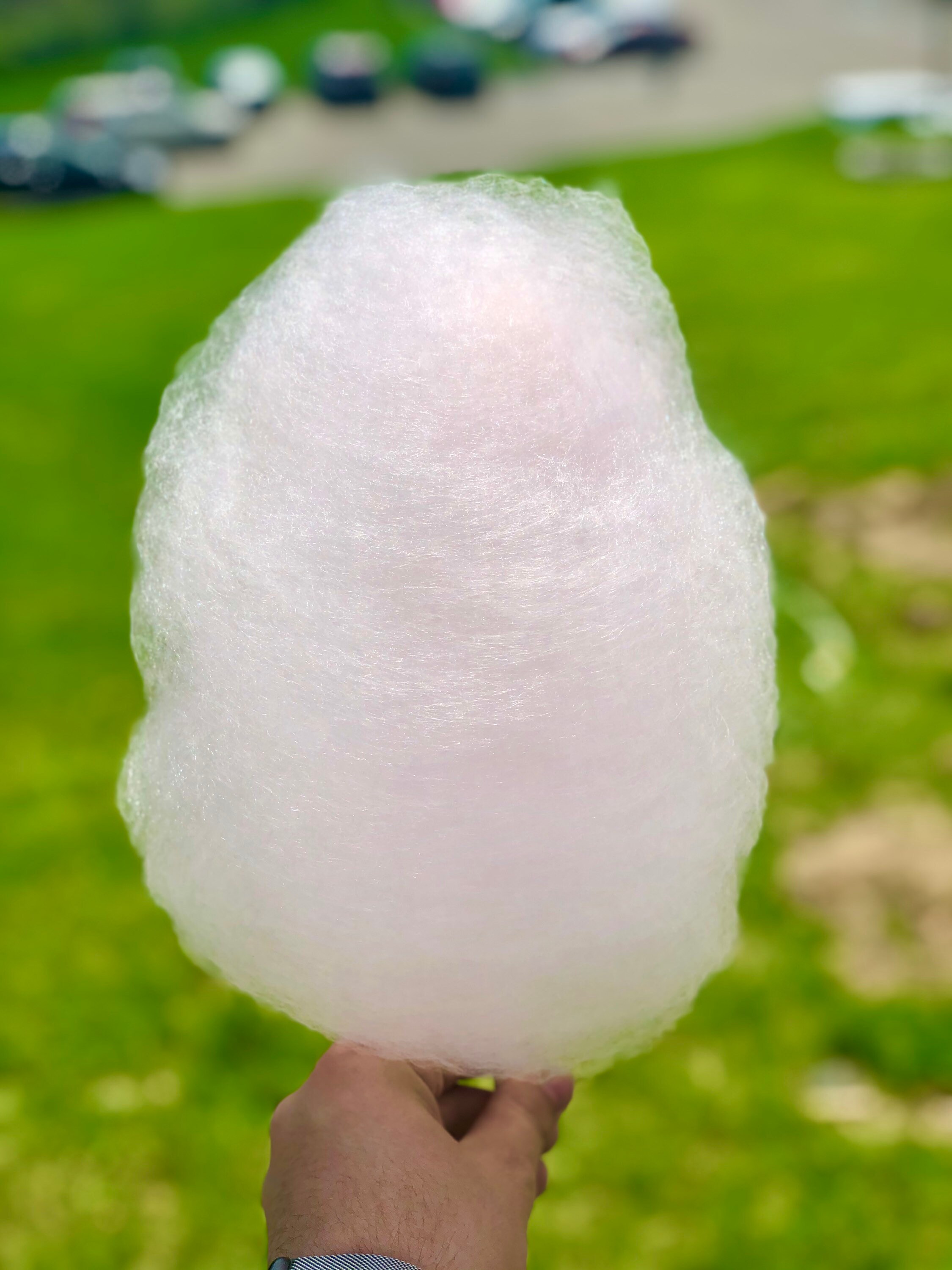 Strawberry Gourmet Cotton Candy Etsy