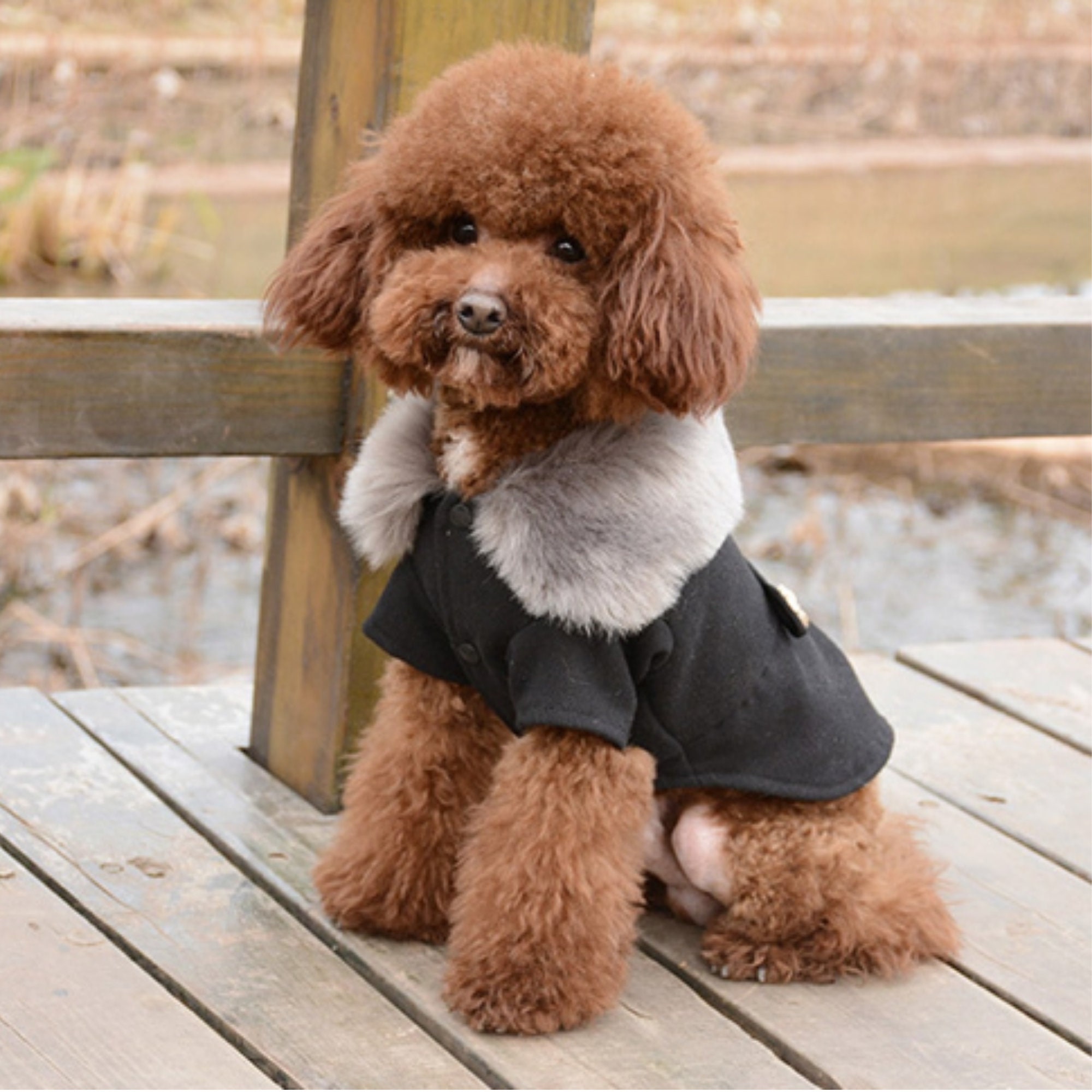 Wool Fur Hooded Dog Winter Coat Etsy