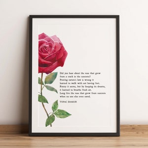 The Rose That Grew from Concrete | Poem | Motivation | Inspiration | Wall Art | Quote | Physical Print | No Frame