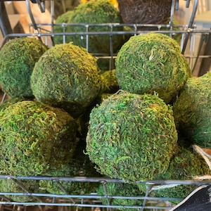May include: A wire basket filled with round moss balls. The moss balls are a vibrant green color and are arranged in a random pattern.