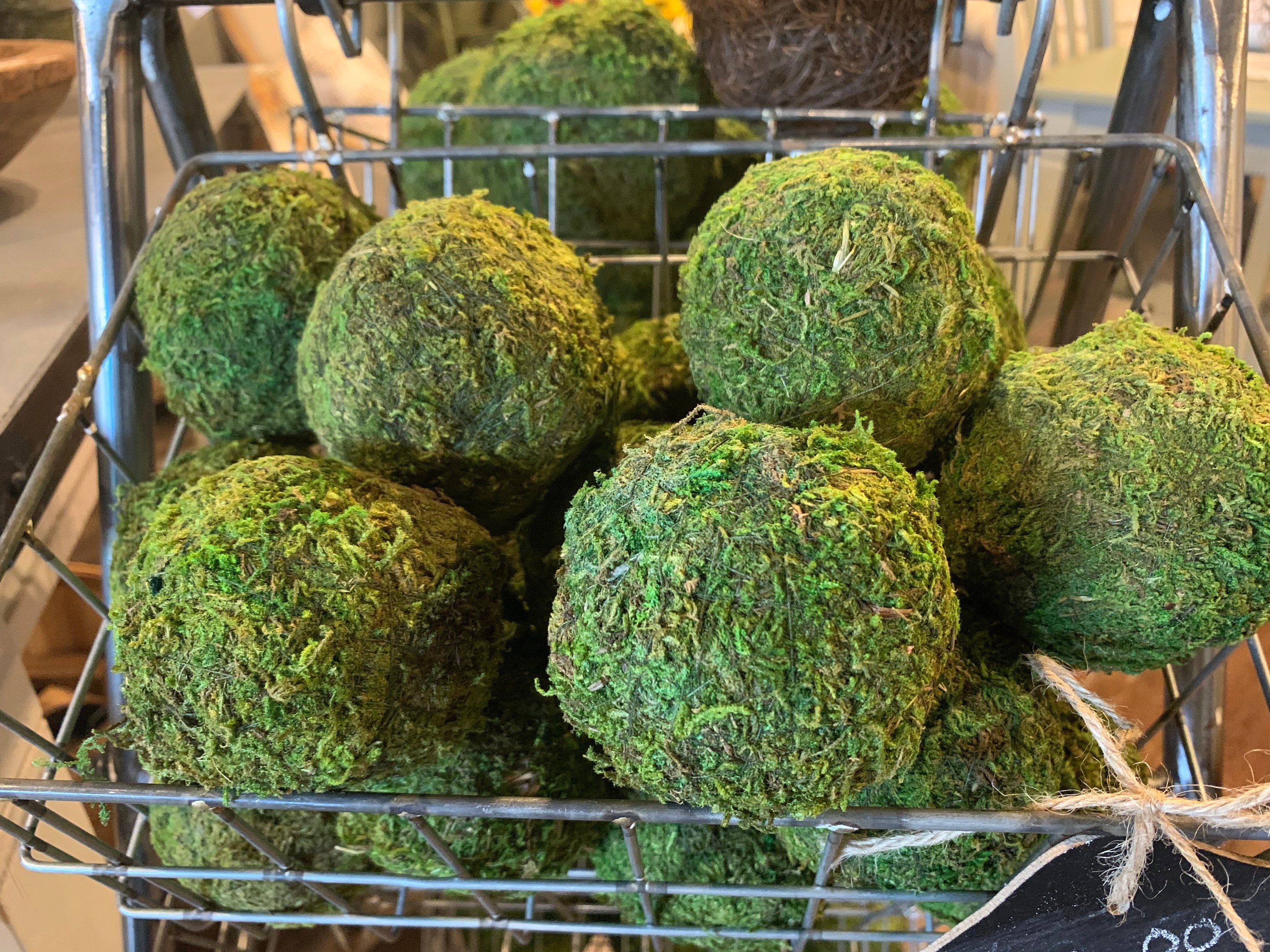 1Pc 5/8/10cm Decorative Faux Dried Moss Balls Green Plant Mossy Globes For  Home Garden Bowl Vase Decors Party Wedding Display - AliExpress