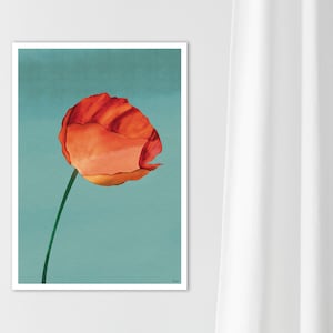 Peinture florale minimaliste, Art mural floral abstrait, Décoration murale botanique, Impression de coquelicot rouge, Affiche de fleur rouge, Art botanique à l’aquarelle A2