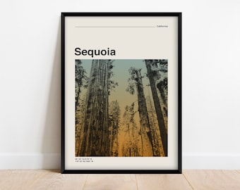 Op de afbeelding: Een ingelijste print met een foto van torenhoge sequoia-bomen. Het woord "Sequoia" staat vetgedrukt boven de afbeelding, met "California" erboven. Coördinaten staan onderaan afgedrukt.